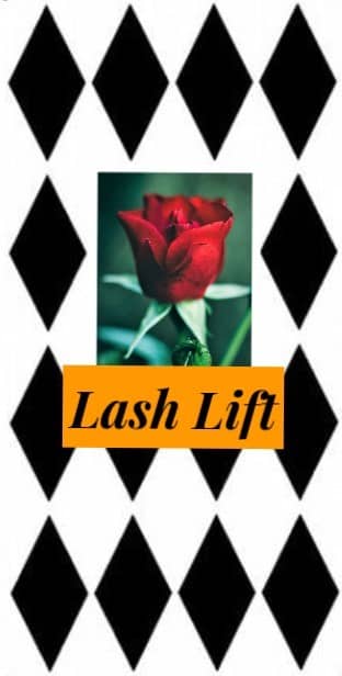 Lash Lift 1