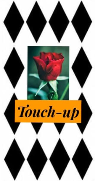 touch up 1