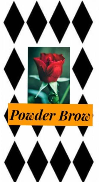 powder brow (1)